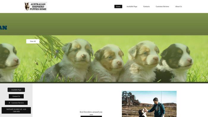 Australianshepherdes.com - Germanshepherd Puppy Scam Review