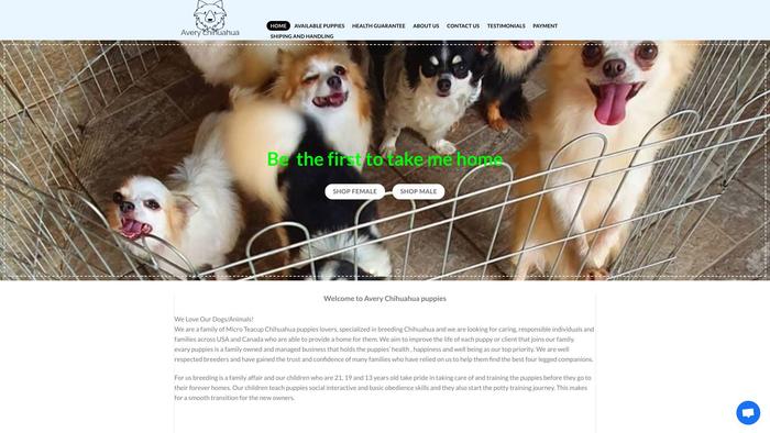 Averychihuahua.com - Chihuahua Puppy Scam Review