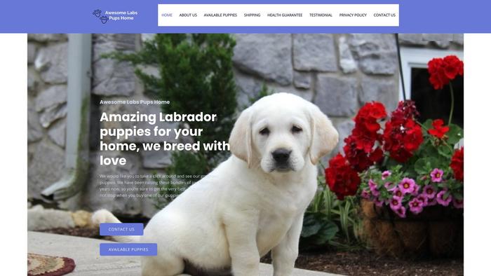 Awesomelabspupshome.com - Labrador Puppy Scam Review