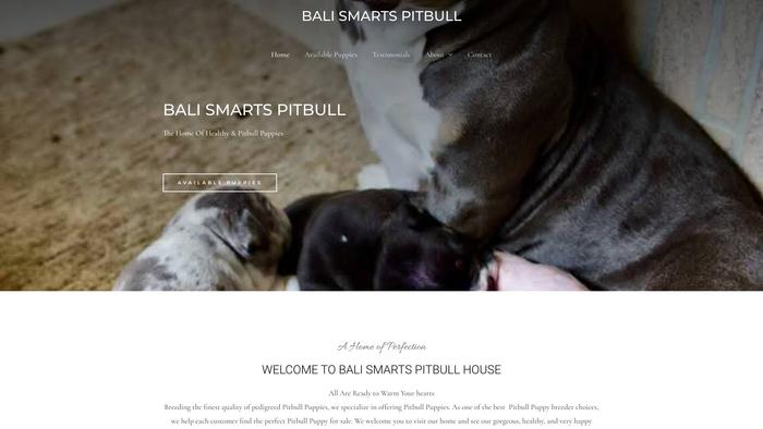 Balismartspitbull.com - Pit Bull Puppy Scam Review