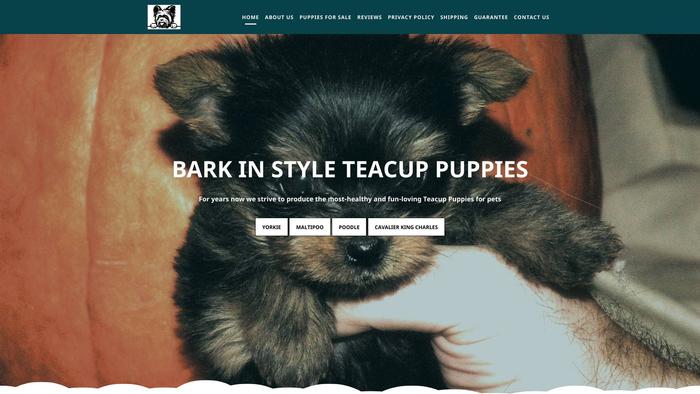 Barkinstylehouse.com - Yorkshire Terrier Puppy Scam Review