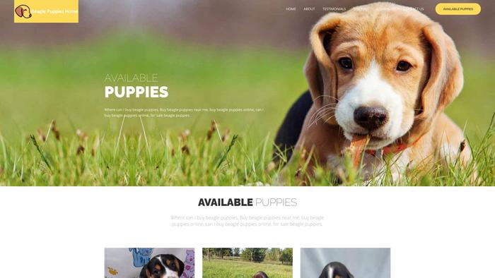 Beaglepuppieshome.net - Beagle Puppy Scam Review