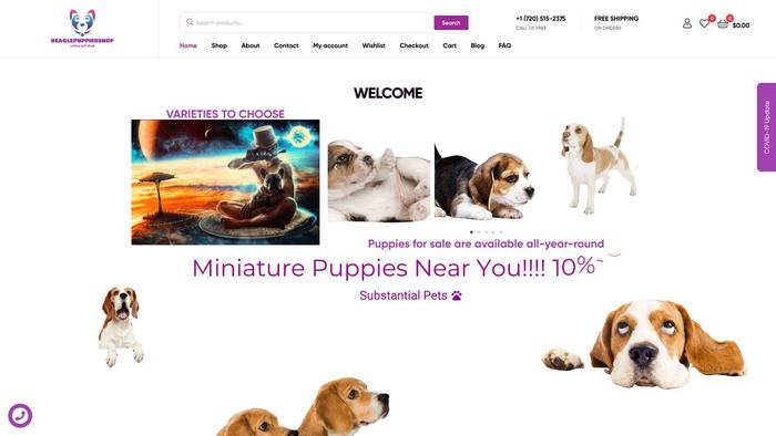 Beaglepuppiesshop.com - Beagle Puppy Scam Review