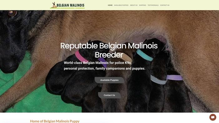 Belgianmalinoishome.com - Germanshepherd Puppy Scam Review