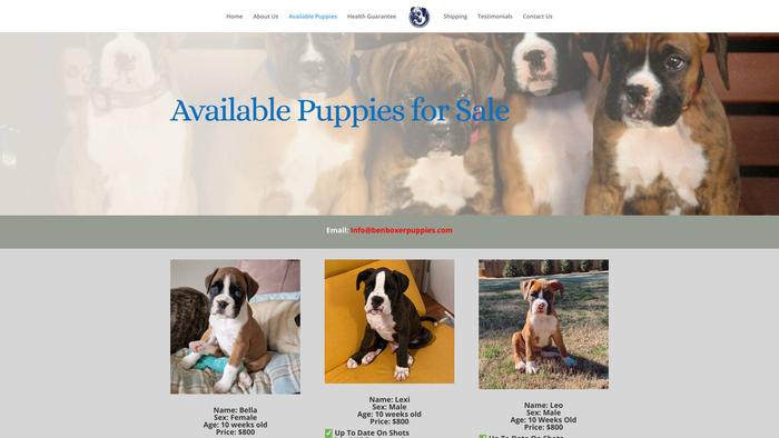 Benboxerpuppies.com - Boxer Puppy Scam Review