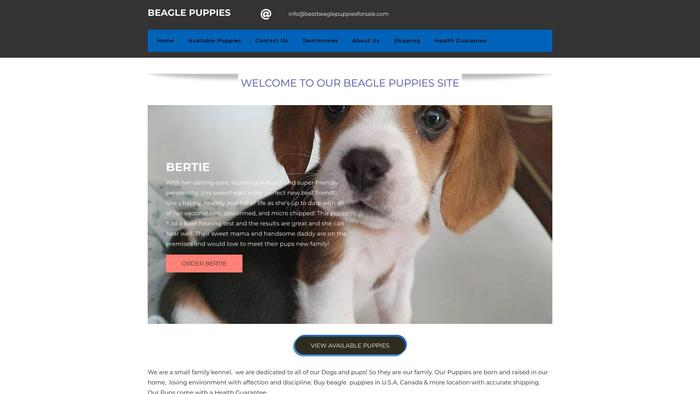 Bestbeaglepuppiesforsale.com - Beagle Puppy Scam Review