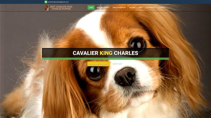 Bestcavalierkingcharlespups.com - Cavalier King Charles Spaniel Puppy Scam Review