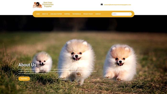 Besteverpomeranianpuppies.com - Pomeranian Puppy Scam Review