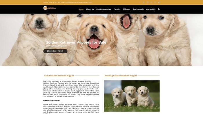 Bestgoldenretrieverbreeders.com - Golden Retriever Puppy Scam Review