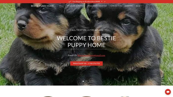 Bestiepuppyhome.com - Rottweiler Puppy Scam Review