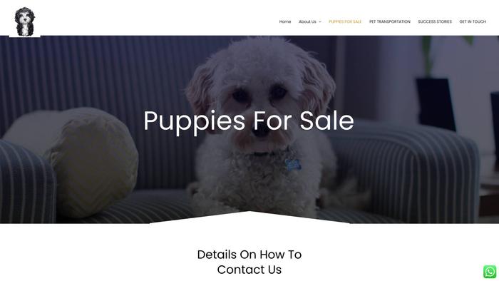 Bestmaltipoopuppiesau.com - Maltipoo Puppy Scam Review