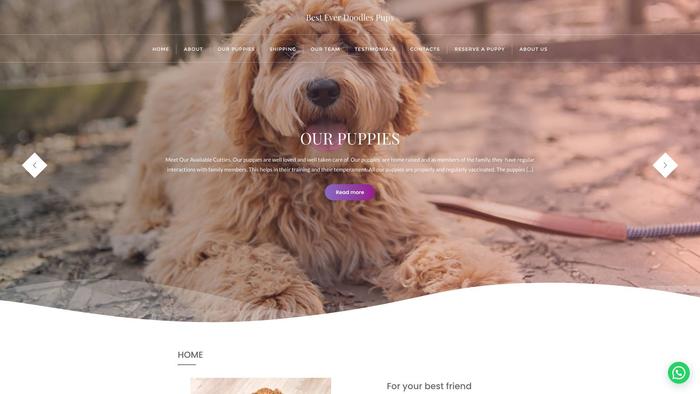 Bettsgoldendoodles.com - Golden Doodle Puppy Scam Review