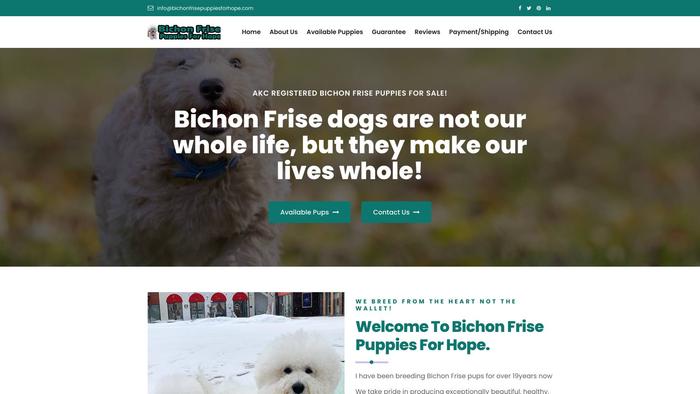 Bichonfrisepuppiesforhope.com - Bichon Frise Puppy Scam Review