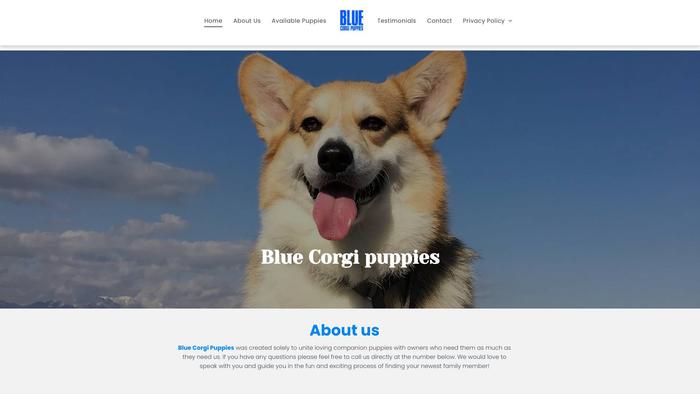 Bluecorgipuppies.com - Corgi Puppy Scam Review