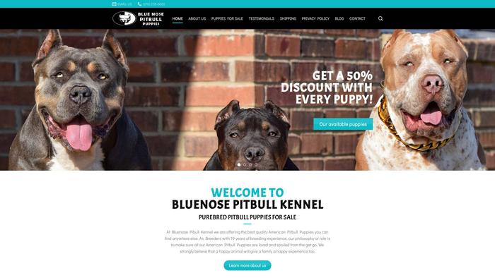 Bluenosepitbullpuppies.com - Pit Bull Puppy Scam Review