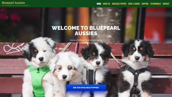 Bluepearlaussies.com - Australian Shepherd Puppy Scam Review