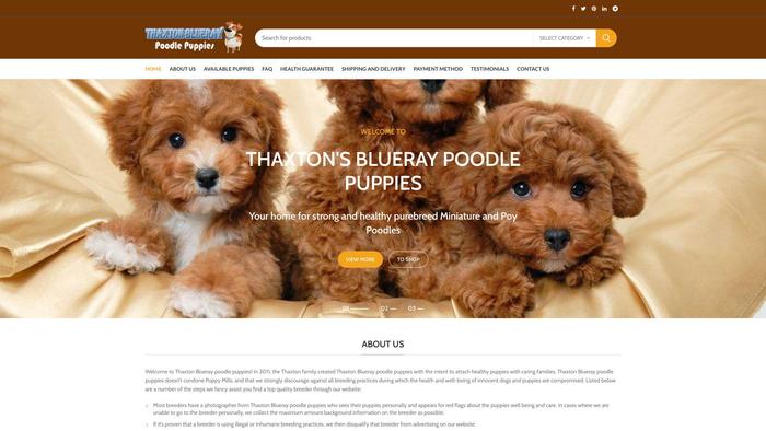 Blueraypoodlepuppies.com - Poodle Puppy Scam Review