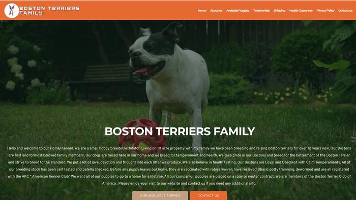 Bostonterriersfamily.com - Terrier Puppy Scam Review