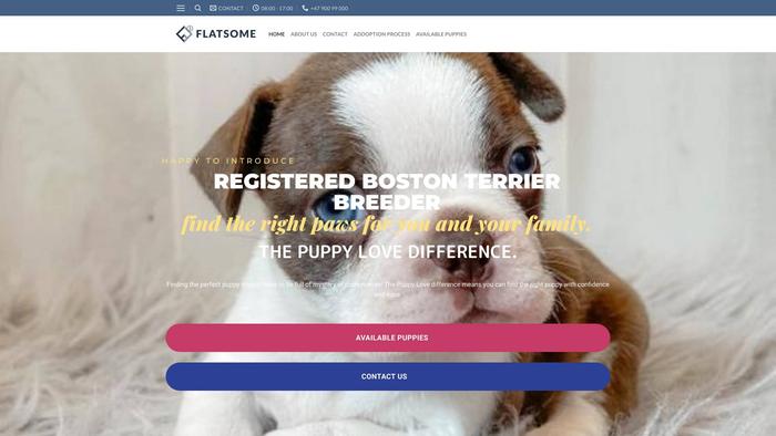 Bostonterrypuppybreeder.com - Boston Terrier Puppy Scam Review