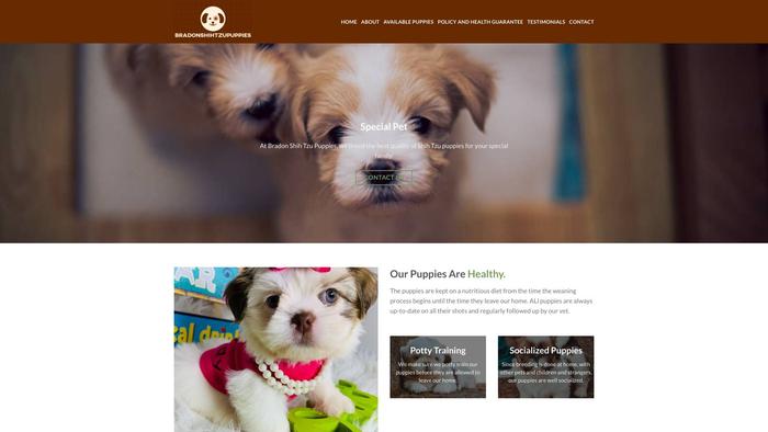 Bradonshihtzupuppies.com - Shihtzu Puppy Scam Review