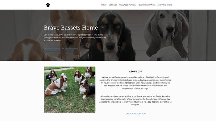 Bravebassetshome.com - Bassethound Puppy Scam Review