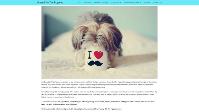 Braveshihtzu.com - Shihtzu Puppy Scam Review