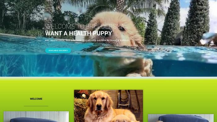 Breedersca.com - Golden Retriever Puppy Scam Review