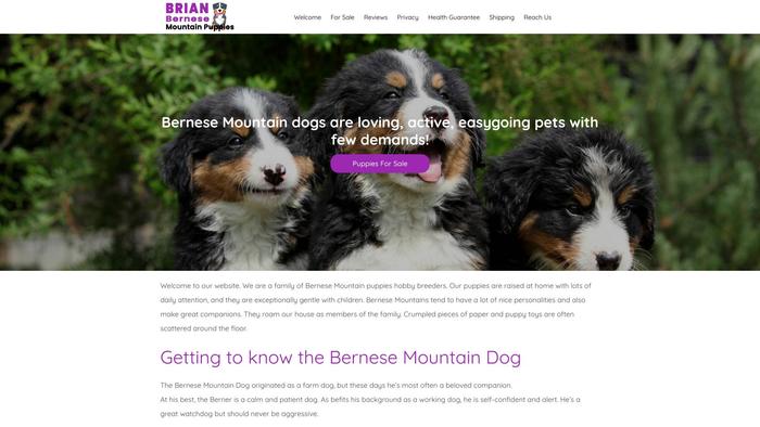 Brianbernesemountainpuppies.com - Bernese Mountain Dog Puppy Scam Review