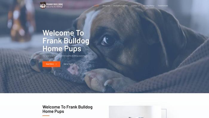 Bulldoggbuddies.com - Bulldog Puppy Scam Review