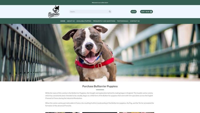 Bullterrierpuppiess.com - Terrier Puppy Scam Review