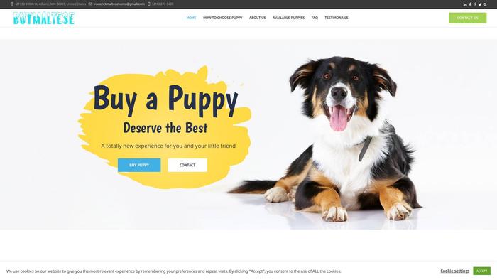 Buymaltese.com - Maltese Puppy Scam Review