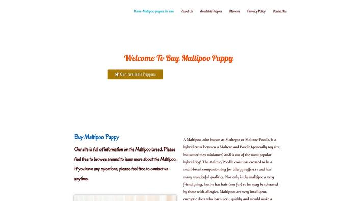 Buymaltipoopuppy.com - Maltipoo Puppy Scam Review