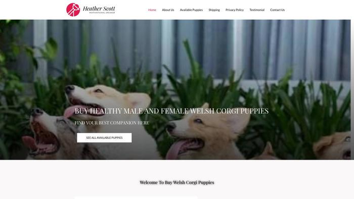 Buywelshcorgipuppies.com - Corgi Puppy Scam Review