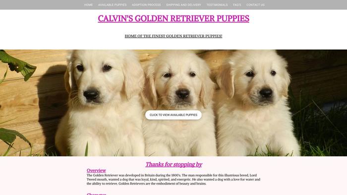 Calvingoldenretriever.com - Golden Retriever Puppy Scam Review