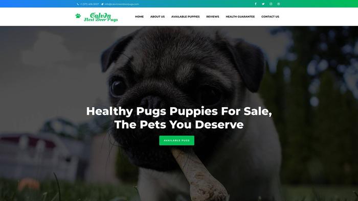 Calvinpugpuppies.us - Pug Puppy Scam Review