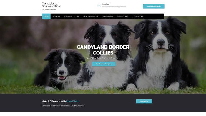 Candylandbordercollies.com - Bordercollie Puppy Scam Review