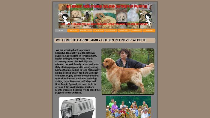 Carinegoldenretrieverpuppies.com - Golden Retriever Puppy Scam Review