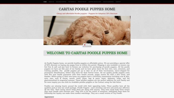 Caritaspoodlepuppies.com - Poodle Puppy Scam Review