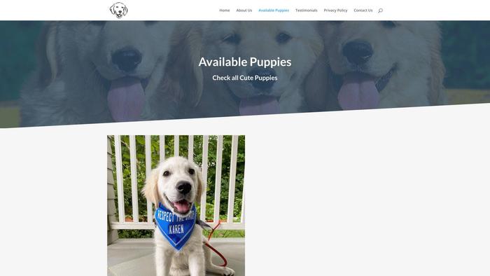 Carlgoldenretrievers.com - Golden Retriever Puppy Scam Review