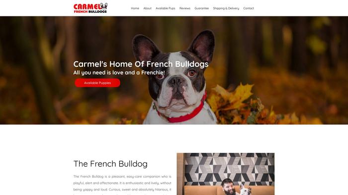 Carmelfrenchbulldogs.com - French Bulldog Puppy Scam Review