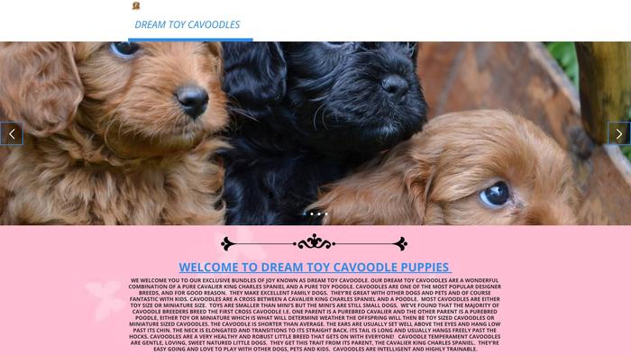 Cavapoohomeoflove.com - Cavapoo Puppy Scam Review