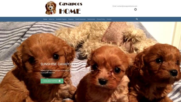 Cavapooshome.com - Cavapoo Puppy Scam Review