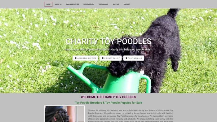 Charitytoypoodles.com - Poodle Puppy Scam Review