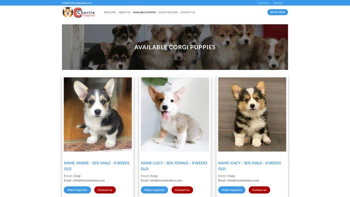 Charliecorgipuppies.com - Corgi Puppy Scam Review