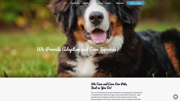 Charliesbernesepuppies.com - Bernese Mountain Dog Puppy Scam Review