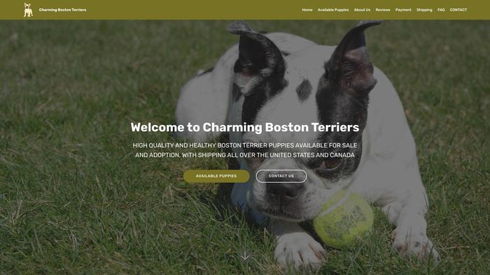 Charmingbostonterriers.com - Boston Terrier Puppy Scam Review