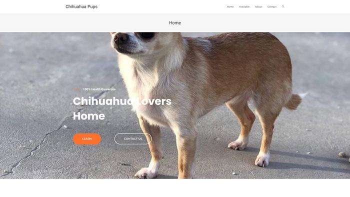 Chihuahuahomes.com - Chihuahua Puppy Scam Review