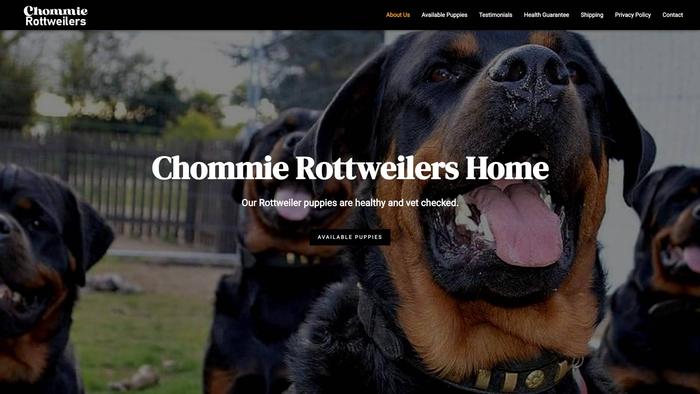 Chommierottweilers.com - Rottweiler Puppy Scam Review