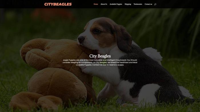 Citybeagles.com - Beagle Puppy Scam Review