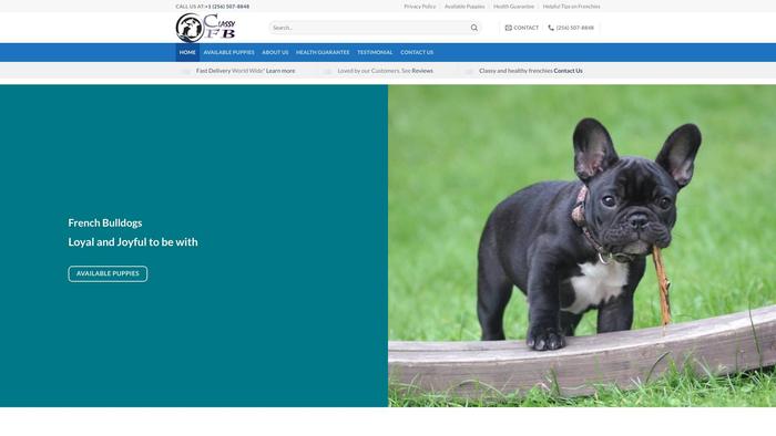 Classyfrenchbullies.com - French Bulldog Puppy Scam Review